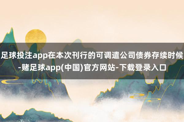 足球投注app在本次刊行的可调遣公司债券存续时候-赌足球app(中国)官方网站-下载登录入口
