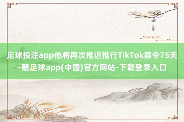 足球投注app他将再次推迟推行TikTok禁令75天-赌足球app(中国)官方网站-下载登录入口