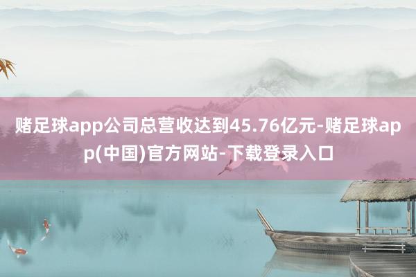 赌足球app公司总营收达到45.76亿元-赌足球app(中国)官方网站-下载登录入口