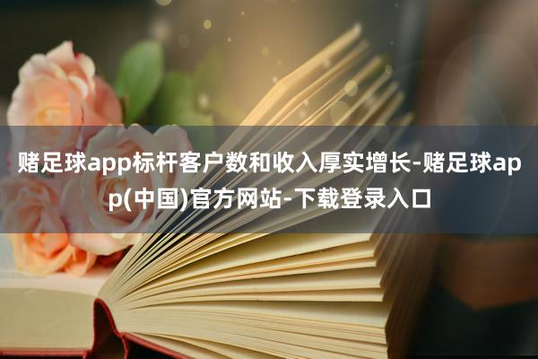 赌足球app标杆客户数和收入厚实增长-赌足球app(中国)官方网站-下载登录入口