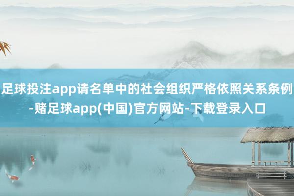 足球投注app请名单中的社会组织严格依照关系条例-赌足球app(中国)官方网站-下载登录入口