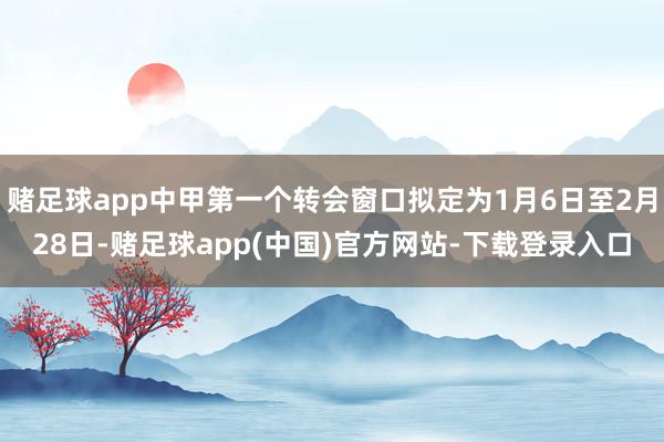 赌足球app中甲第一个转会窗口拟定为1月6日至2月28日-赌足球app(中国)官方网站-下载登录入口