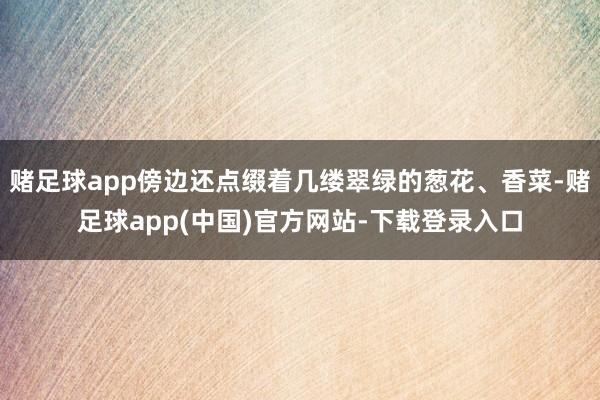 赌足球app傍边还点缀着几缕翠绿的葱花、香菜-赌足球app(中国)官方网站-下载登录入口