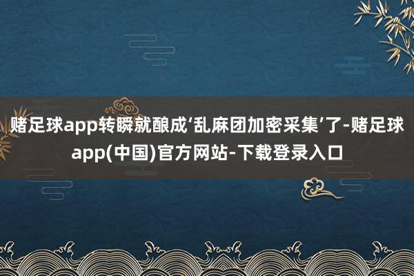 赌足球app转瞬就酿成‘乱麻团加密采集’了-赌足球app(中国)官方网站-下载登录入口
