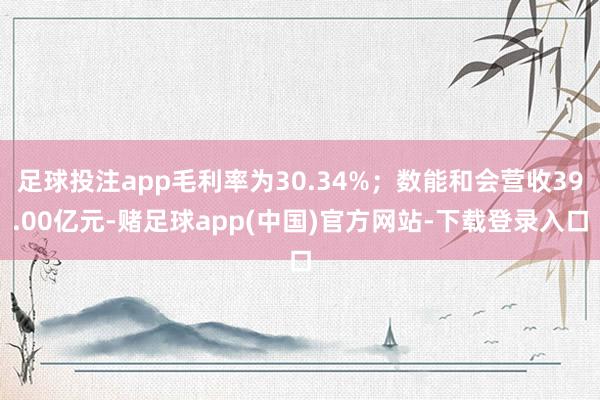 足球投注app毛利率为30.34%；数能和会营收39.00亿元-赌足球app(中国)官方网站-下载登录入口