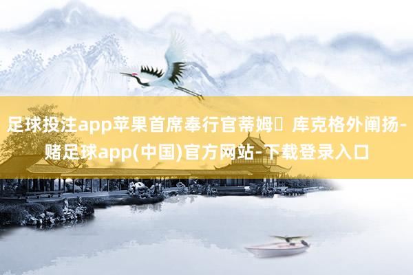 足球投注app苹果首席奉行官蒂姆・库克格外阐扬-赌足球app(中国)官方网站-下载登录入口