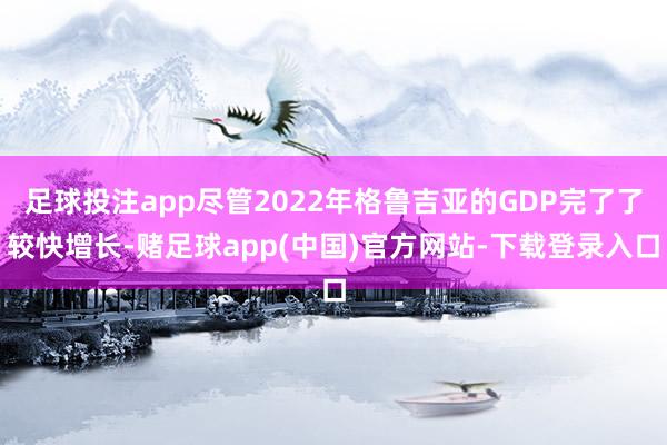 足球投注app尽管2022年格鲁吉亚的GDP完了了较快增长-赌足球app(中国)官方网站-下载登录入口