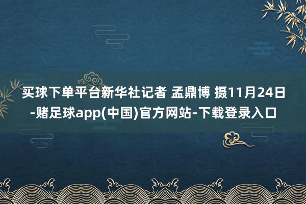 买球下单平台 新华社记者 孟鼎博 摄 11月24日-赌足球app(中国)官方网站-下载登录入口