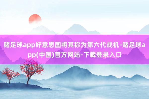 赌足球app好意思国将其称为第六代战机-赌足球app(中国)官方网站-下载登录入口