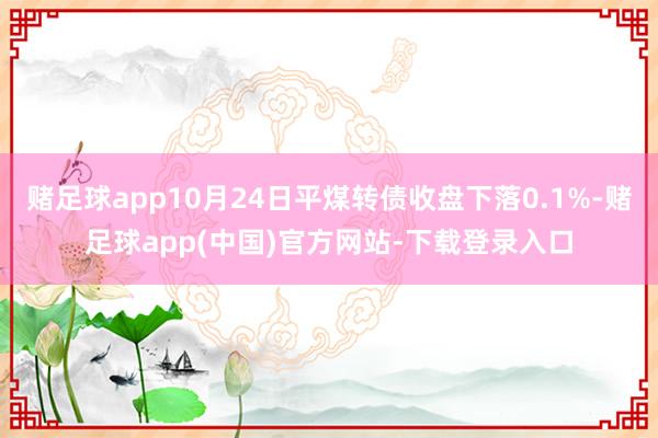 赌足球app10月24日平煤转债收盘下落0.1%-赌足球app(中国)官方网站-下载登录入口