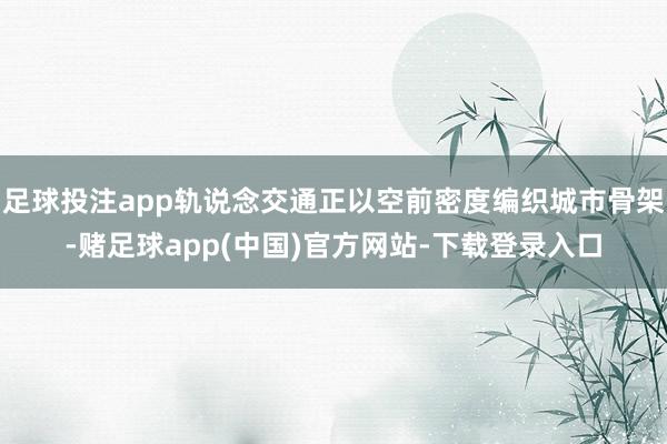 足球投注app轨说念交通正以空前密度编织城市骨架-赌足球app(中国)官方网站-下载登录入口