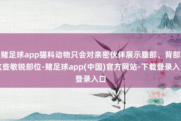 赌足球app猫科动物只会对亲密伙伴展示腹部、背部这些敏锐部位-赌足球app(中国)官方网站-下载登录入口