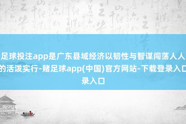 足球投注app是广东县域经济以韧性与智谋闯荡人人的活泼实行-赌足球app(中国)官方网站-下载登录入口